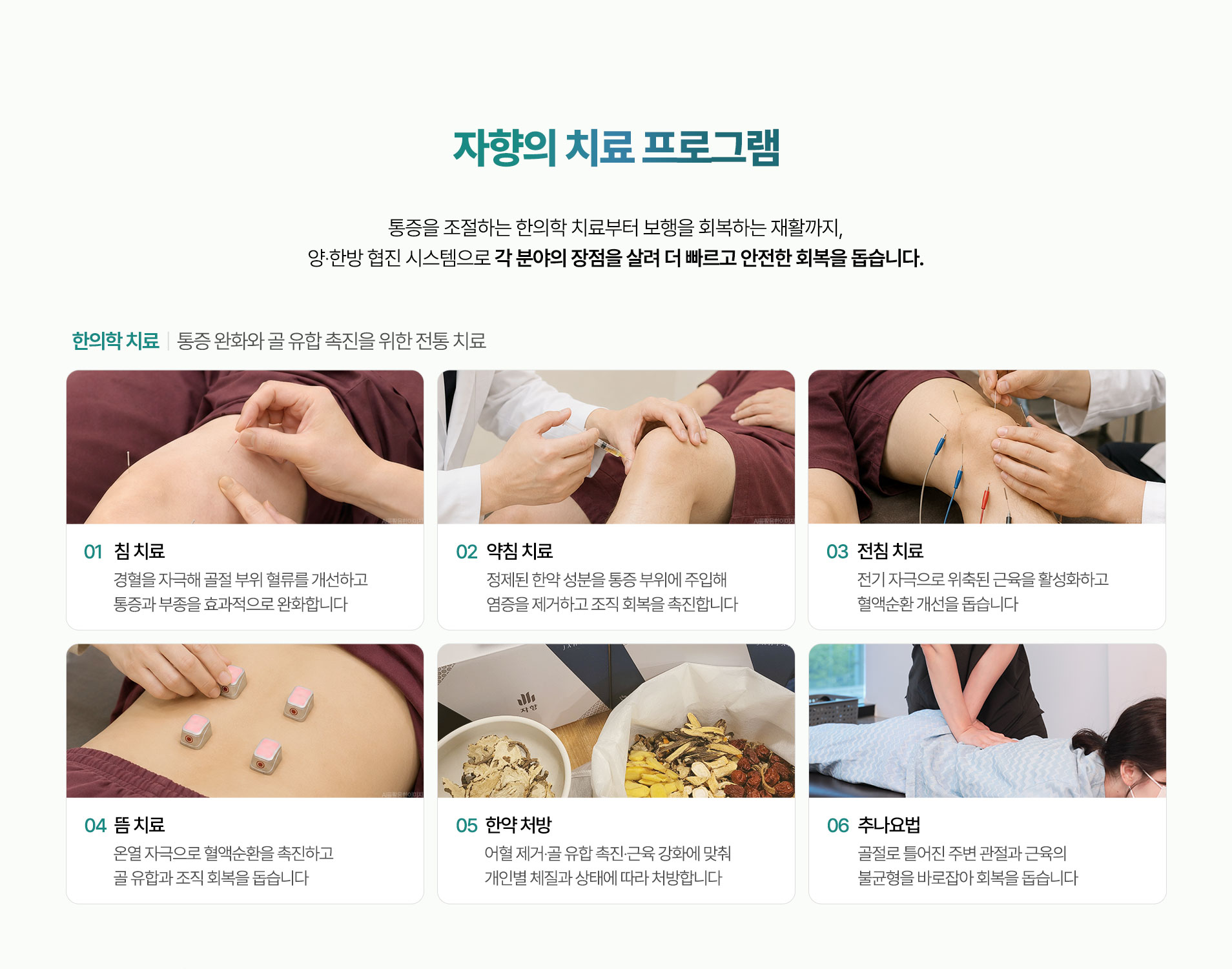 통증 완화와 골 유합 촉진을 위한 전통 치료. 침 치료, 약침 치료, 전침 치료, 뜸 치료, 한약 처방, 추나요법