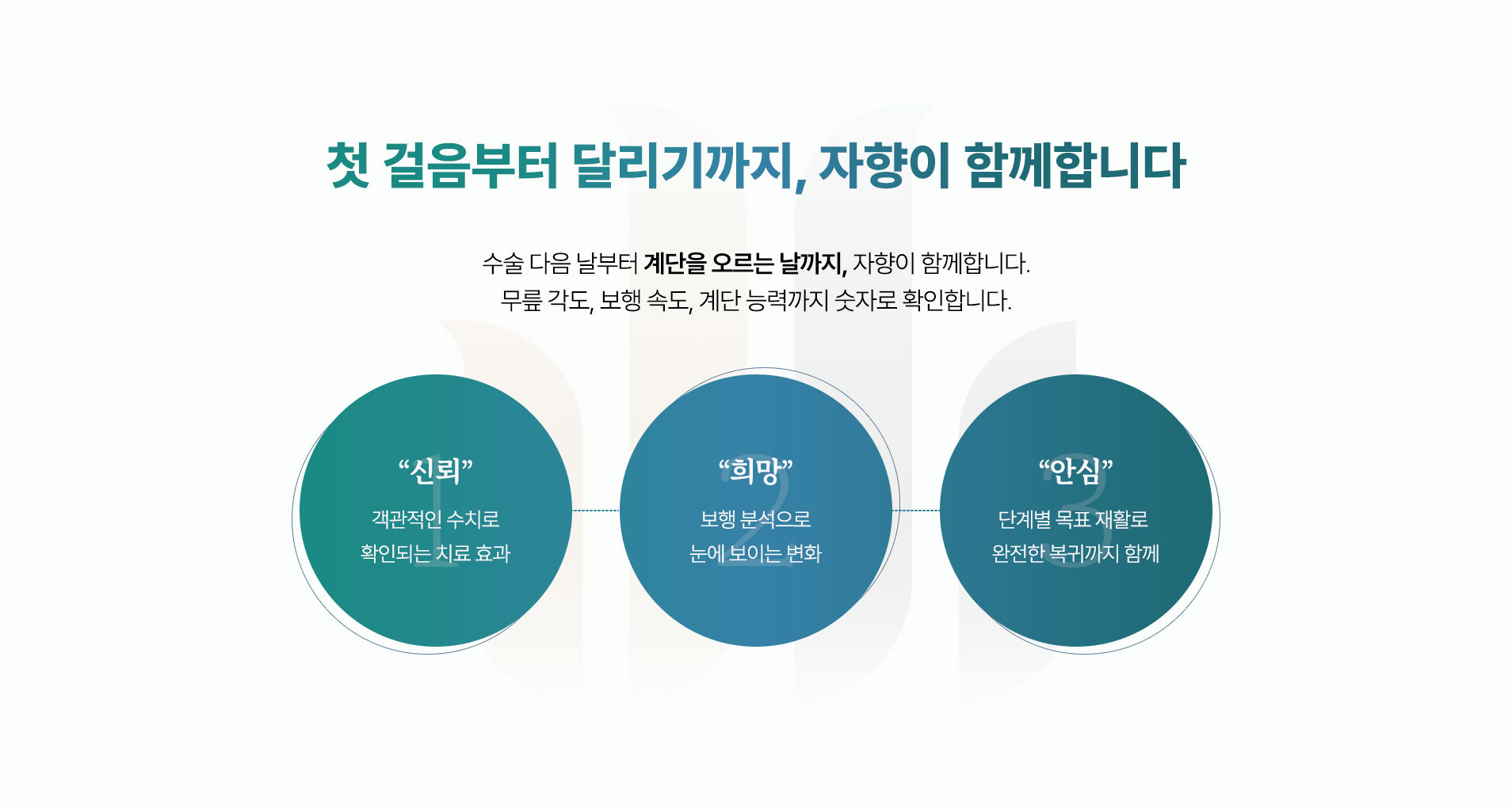 수술 다음 날부터 일상으로 돌아가는 날까지, 자향이 회복 과정 전체를 책임집니다.