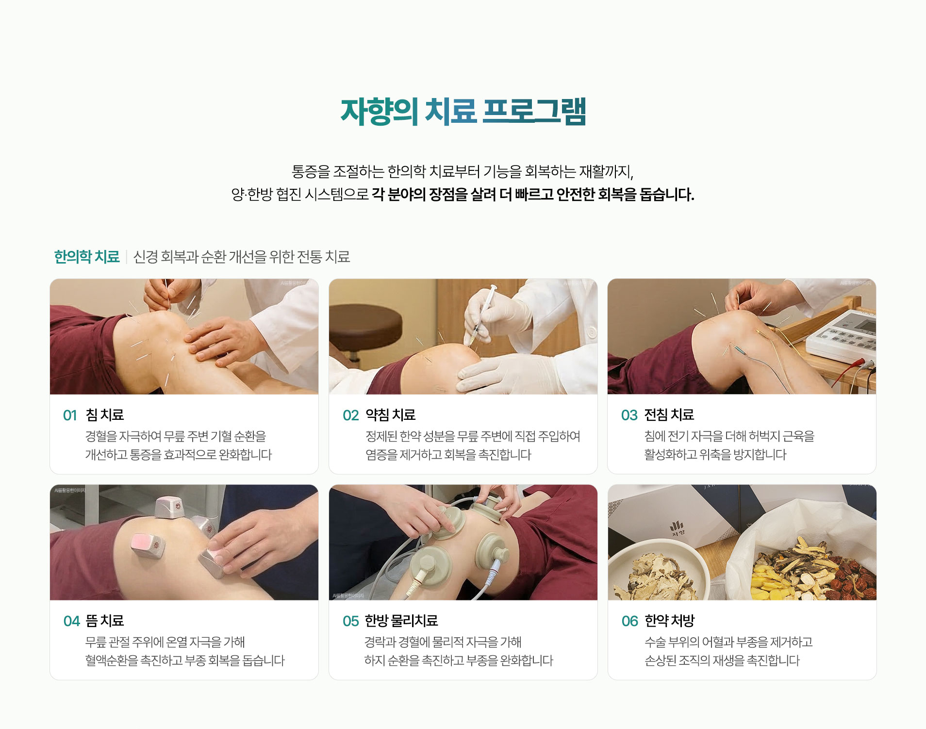 신경 회복과 순환 개선을 위한 전통 치료. 침 치료, 약침 치료, 전침 치료, 뜸 치료, 한방 물리치료, 한약 처방