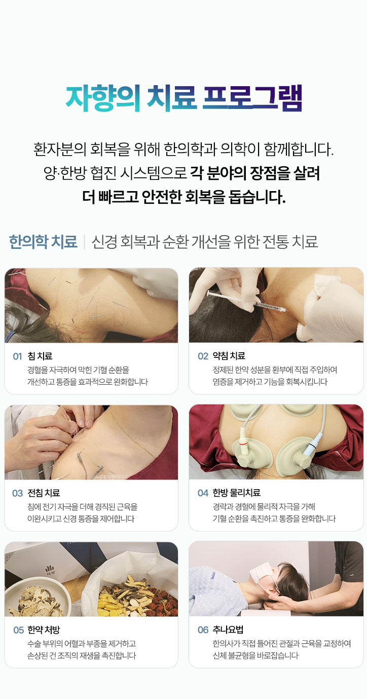 신경 회복과 순환 개선을 위한 전통 치료. 침 치료, 약침 치료, 전침 치료, 한방 물리치료, 한약 처방, 추나요법