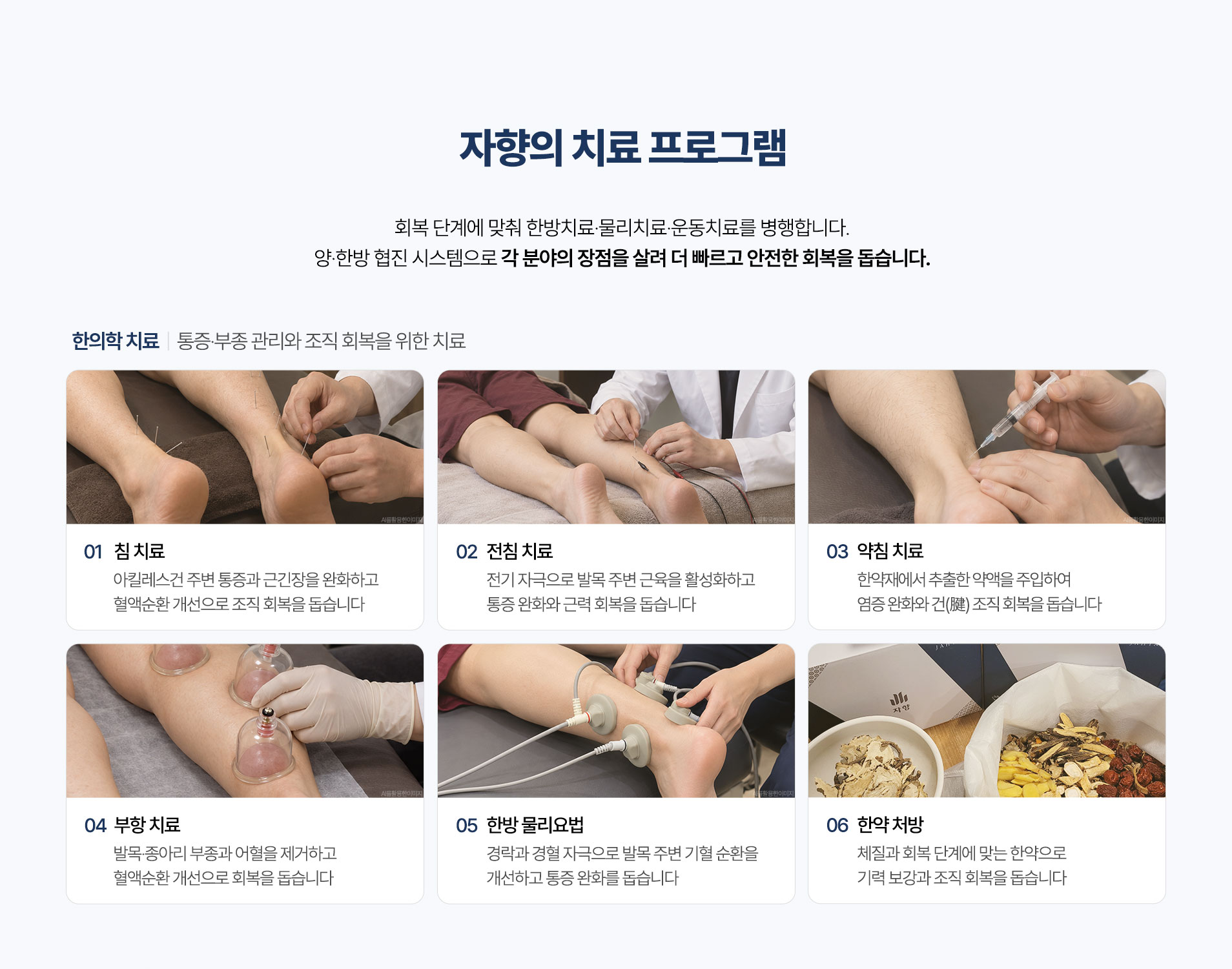 자향의 치료 프로그램 한의학 치료. 침 치료, 전침 치료, 약침 치료, 부항 치료, 한방 물리요법, 한약 처방