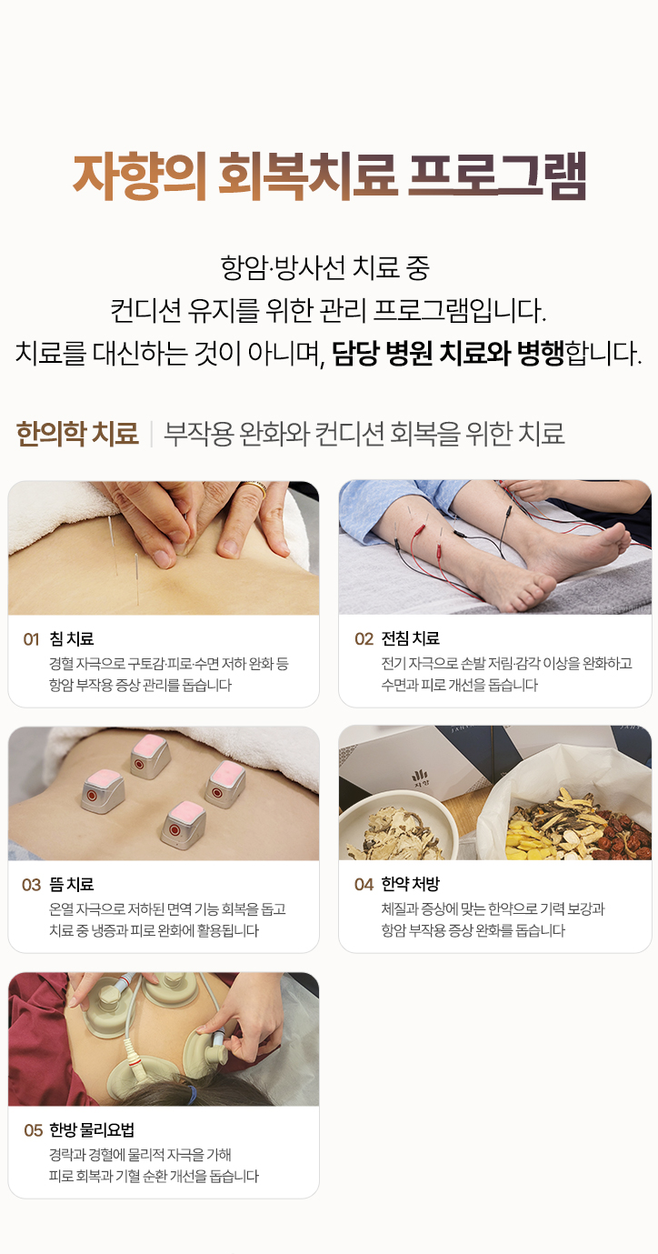 한의학 치료 구성. 침 치료, 전침 치료, 뜸 치료, 한약 처방, 한방 물리요법