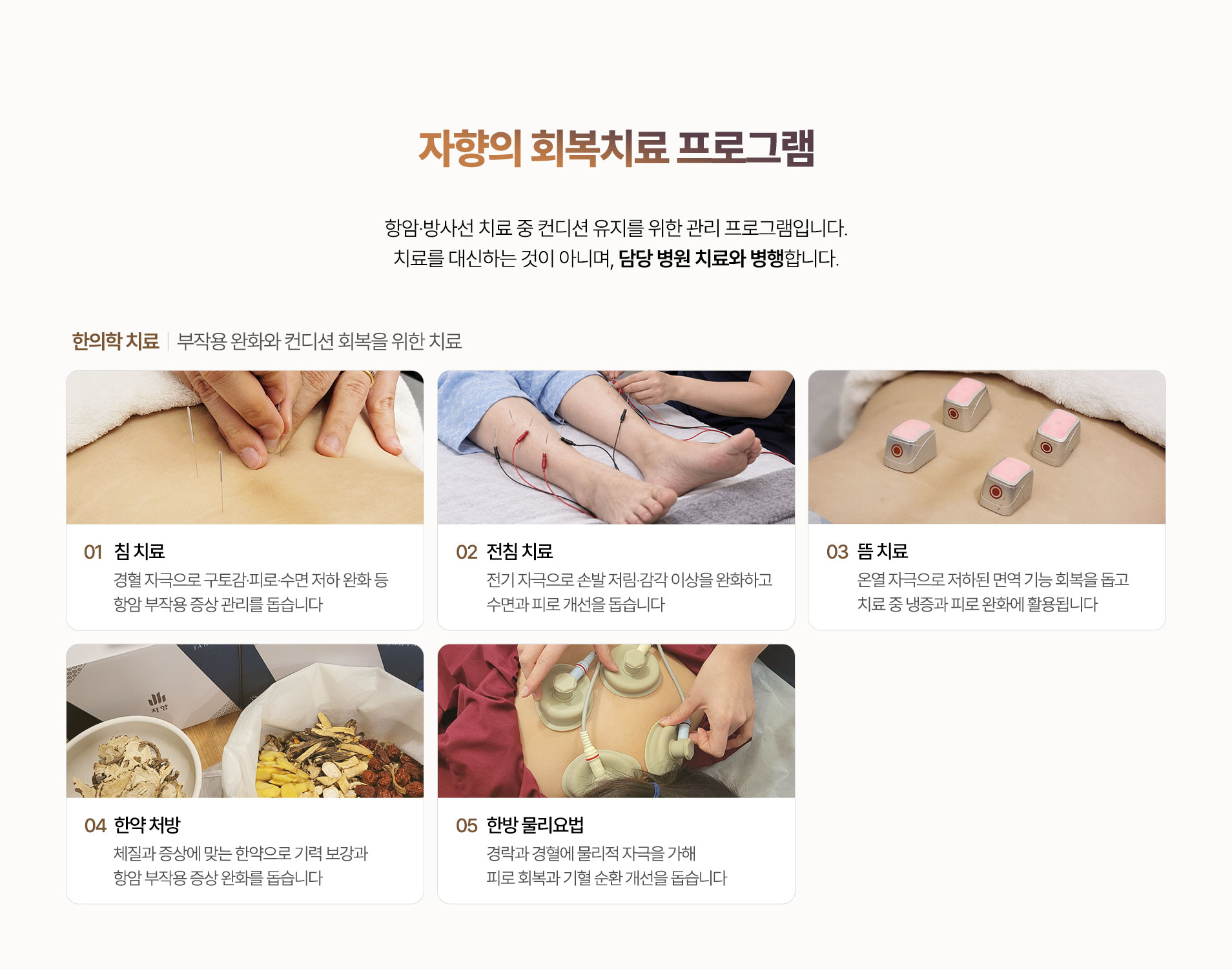 한의학 치료 구성. 침 치료, 전침 치료, 뜸 치료, 한약 처방, 한방 물리요법