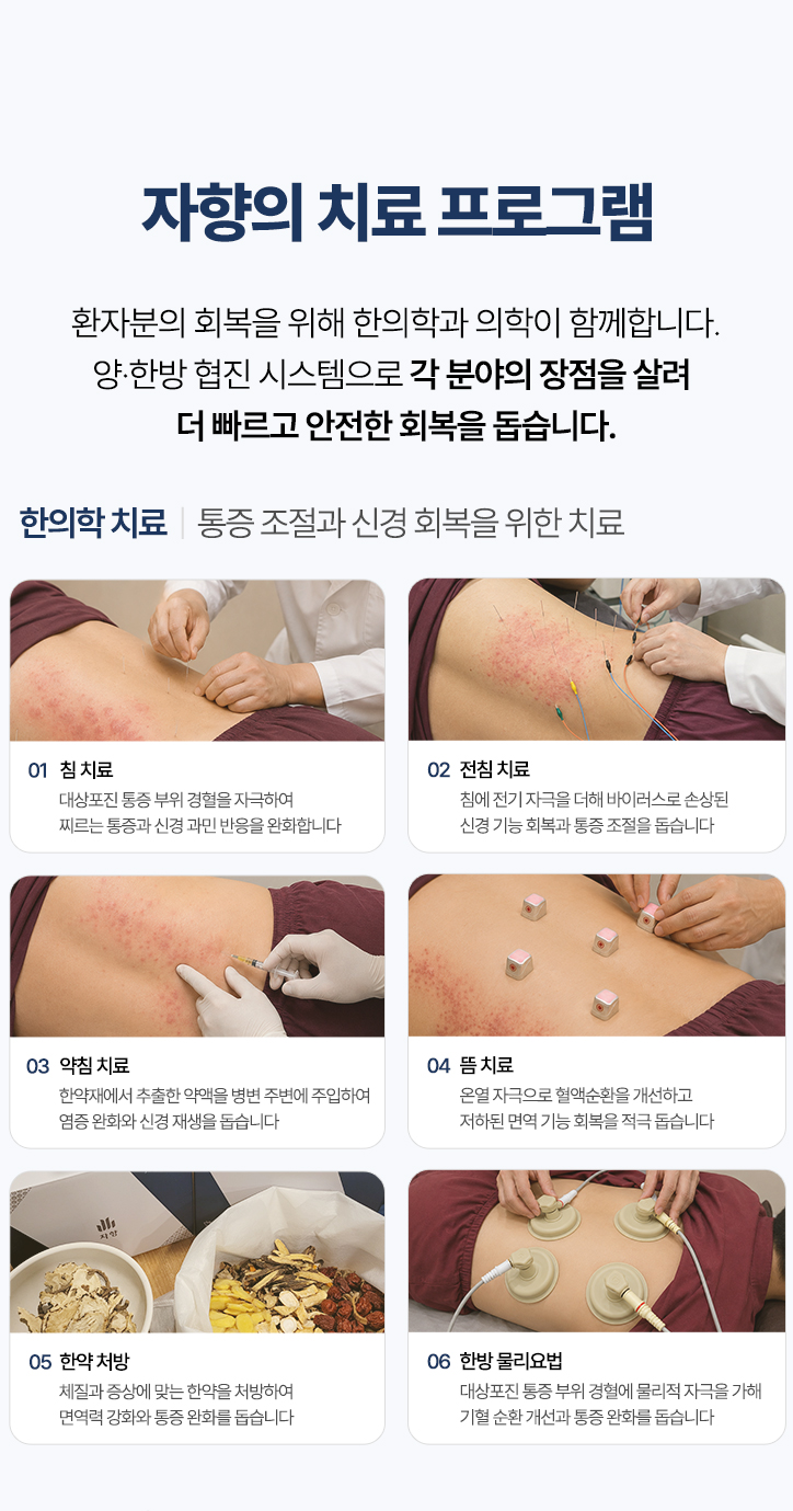 한의학 치료 구성. 침 치료, 전침 치료, 약침 치료, 뜸 치료, 한약 처방, 한방 물리요법